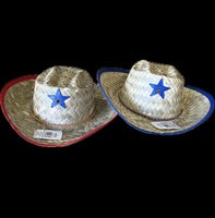 Cowboy Hat (1 Unit)