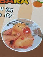 Squishy Capybara (1 Dozen)